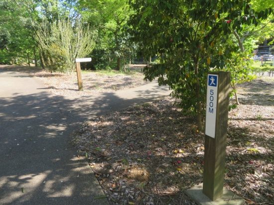 北代緑地公園の長距離コース 500m